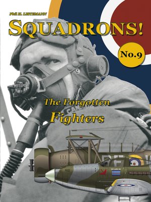 cover image of The Forgotten Fighters